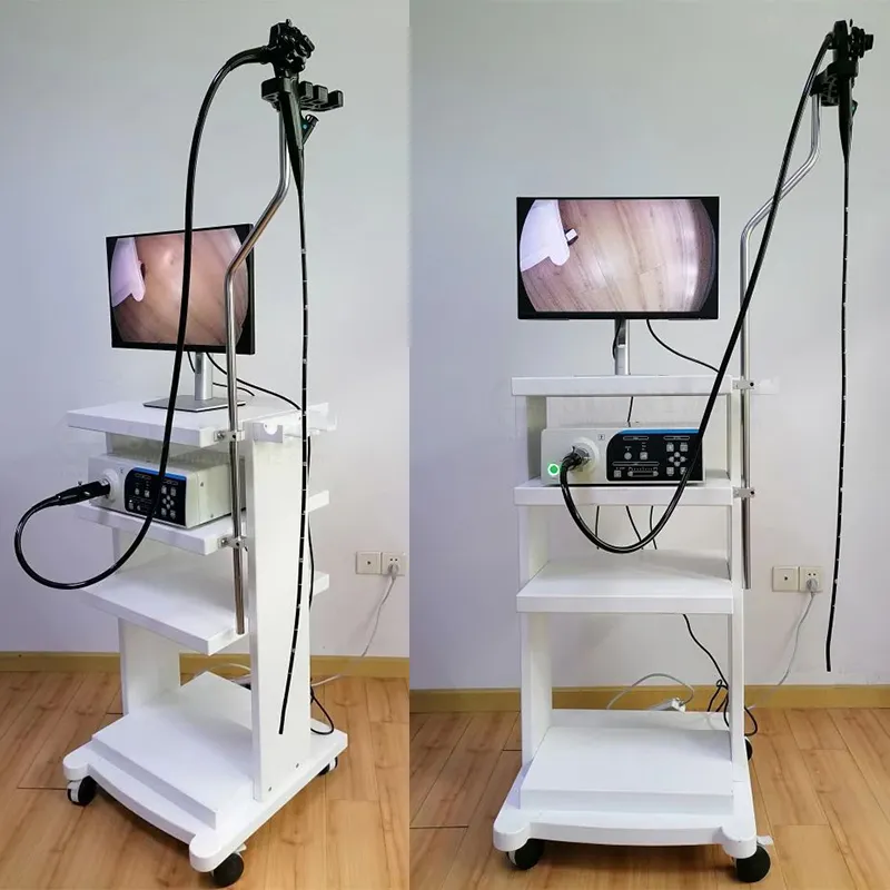 Gastroscope Detail 1