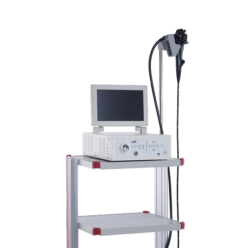 Gastroscope Colonoscope Set All-in-One Veterinary Endoscope with Video Center Display Scope Series and Grasping Forceps