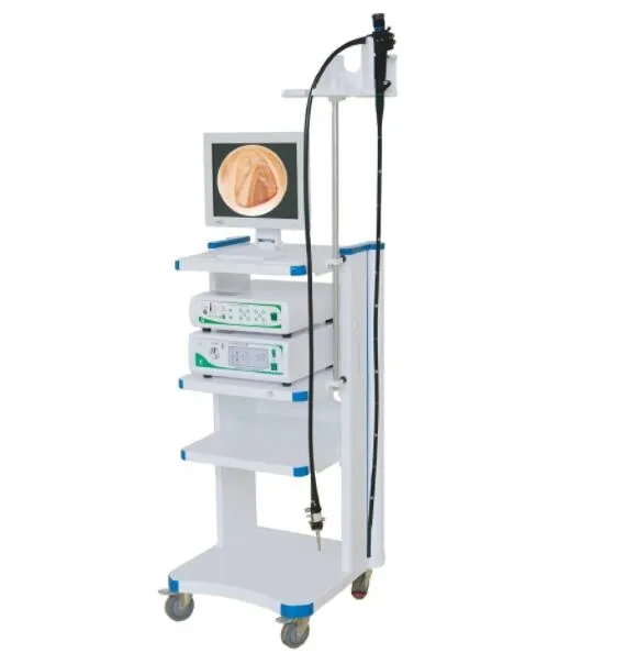 Fiber Colonoscopy System