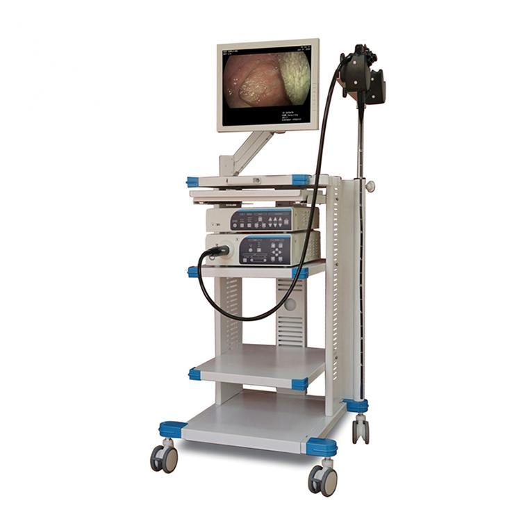 Medical Video Endoscopy Hospital Gastro Colonoscope Video Endoscope System Price