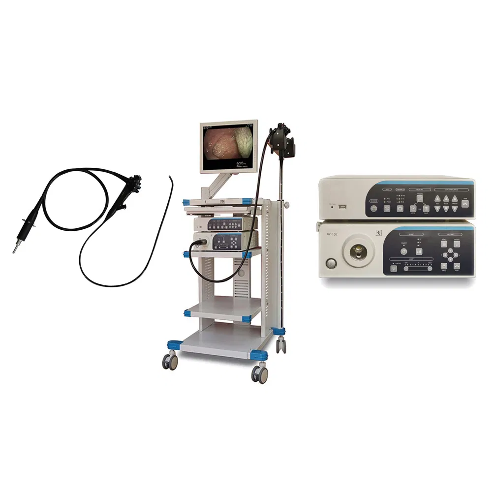Low Price Endoscopy Flexible Video Gastrointestinal Endoscope Camera System with Light Source