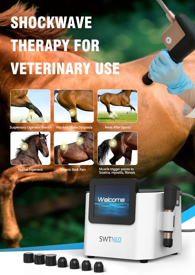 Shockwave Therapy 2