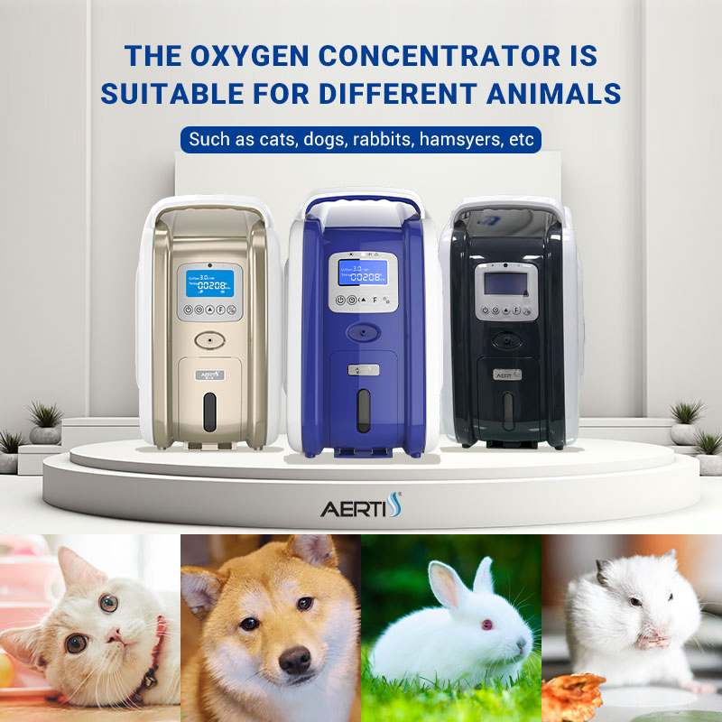 Aerti Oxygen Supplement Device 3L Veterinary Care Oxygen Concentrator for Vet Clinic