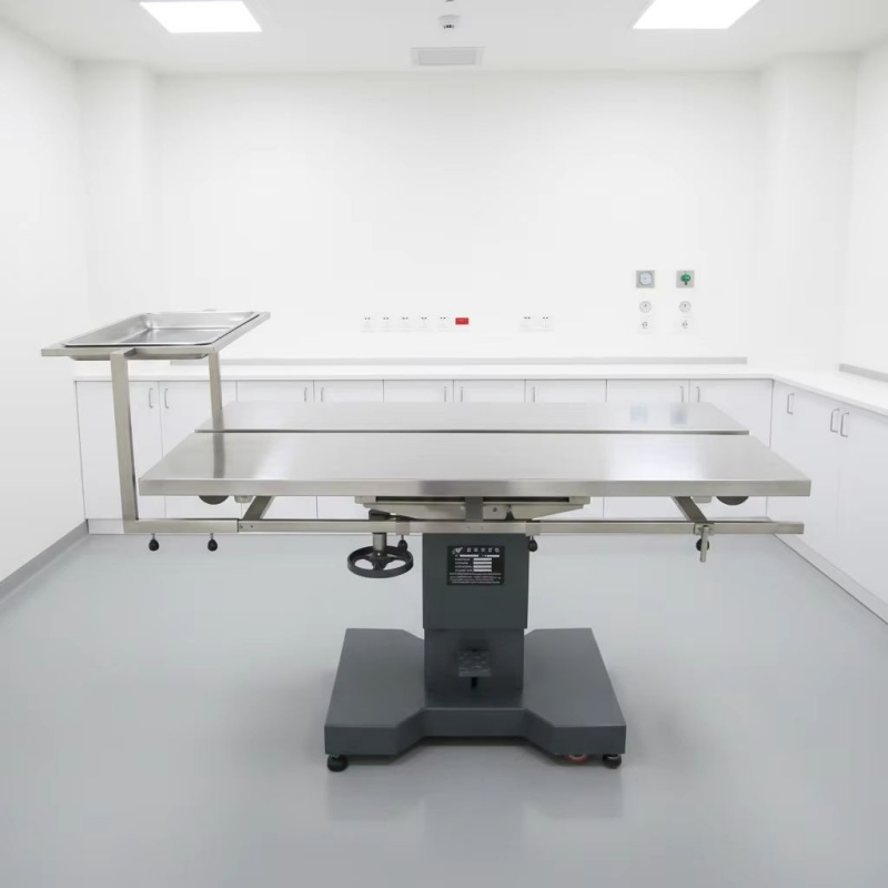 Pet Dog Veterinary Treating Table Surgical Animal Dog Clinic Operation Table