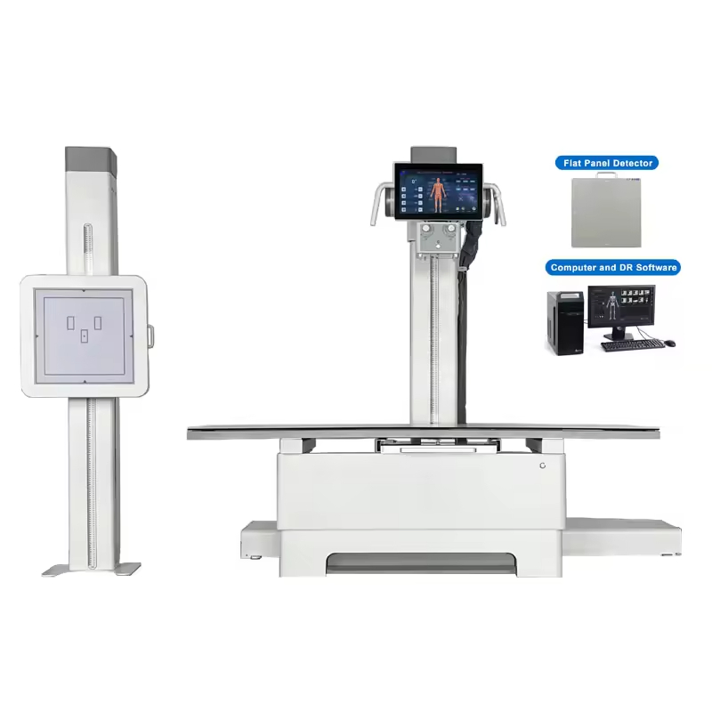 Digital Human or Veterinary Stationary X-ray Medical Equipment Xray Hospital Equipment for Veterinary Animal / Human Diagnosis