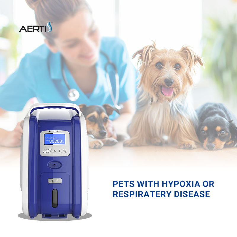 Aerti Oxygen Supplement Device 3L Veterinary Care Oxygen Concentrator for Vet Clinic