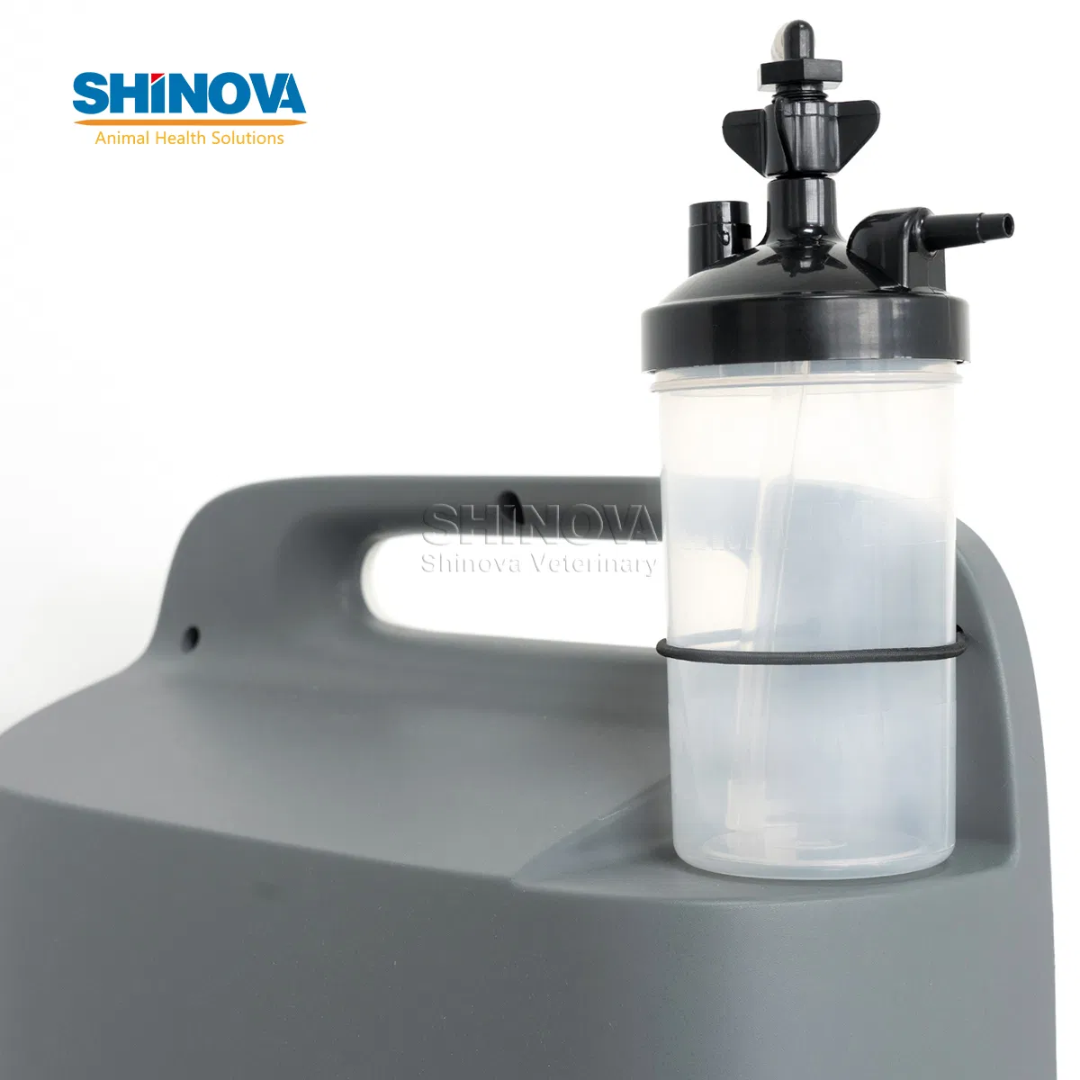 Smart Vet Chinese Factory Veterinary Operation 5L Oxygen Concentrator for Vet Hospital