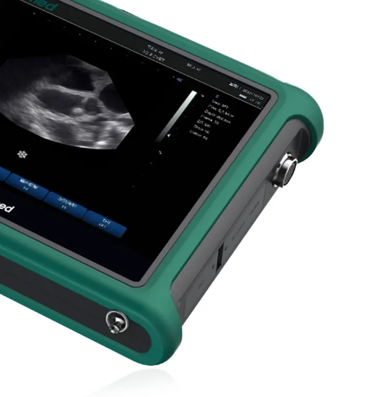 Advanced Periodmed Veterinary Ultrasound System for Animal