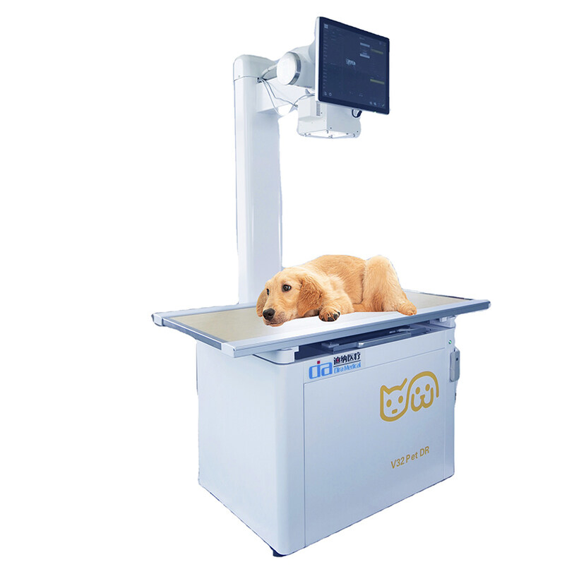 Affordable Static Digital X Ray System for Veterinary Medical Imaging and Diagnosis
