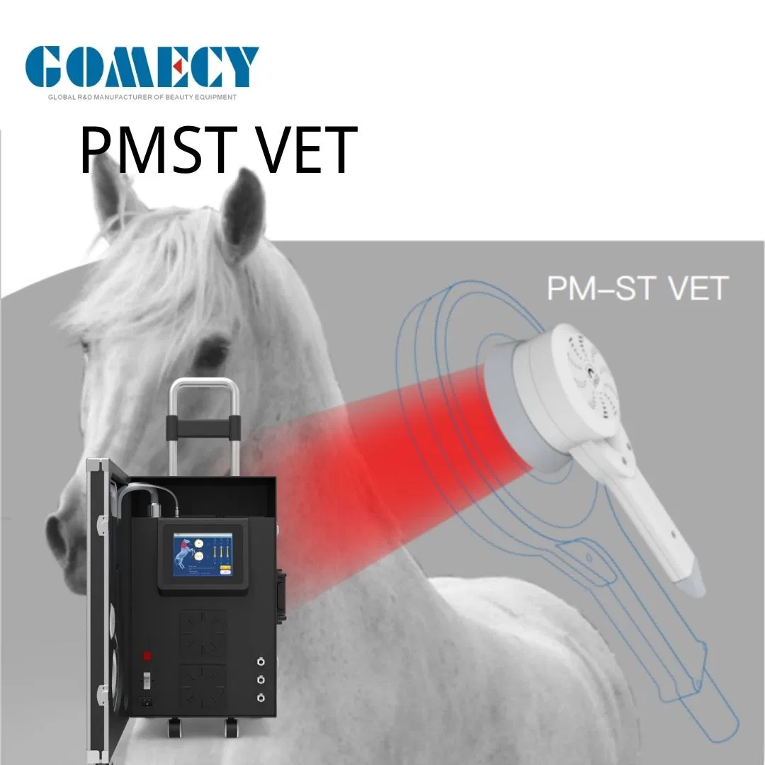 Pmst Magneto Physiotherapy Equipment Pmst Vet Physiotherapy Treatment Equipment