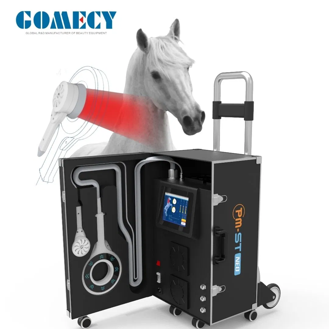 Pmst Magneto Vet Clinic Use Pulse Field Therapy Body Injury Recovery Equipment