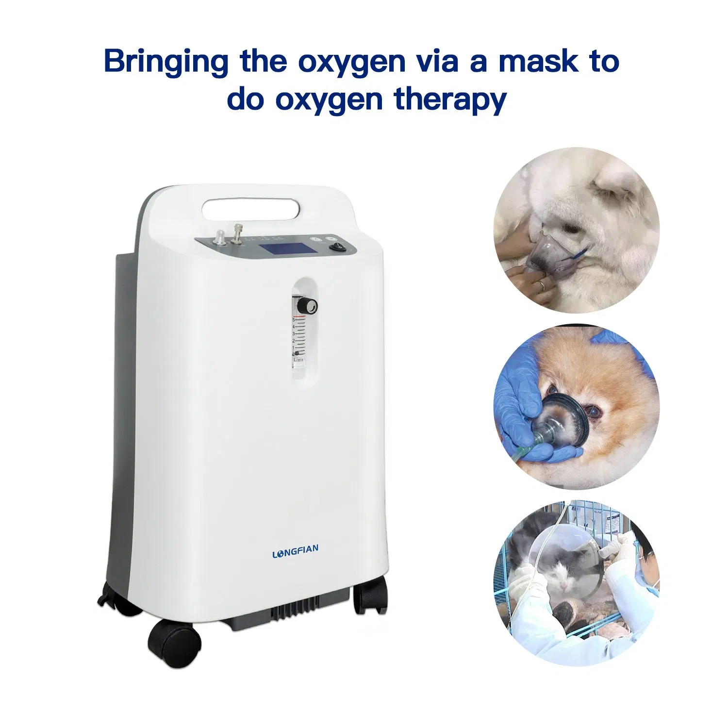 Longfian 5Lpm Oxygen Concentrator Portable Veterinary Hospital Oxygen Machine