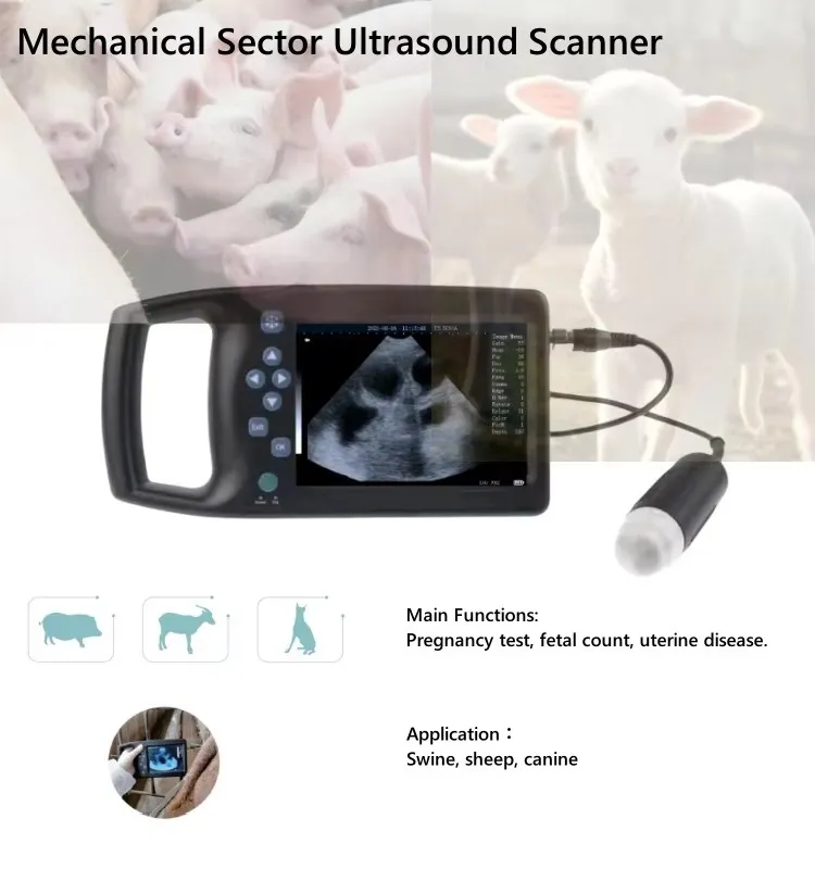 Veterinary Ultrasound Machine M6