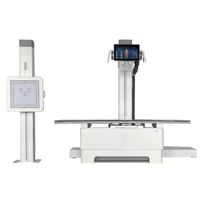 Digital Human or Veterinary Stationary X-ray Medical Equipment Xray Hospital Equipment for Veterinary Animal / Human Diagnosis