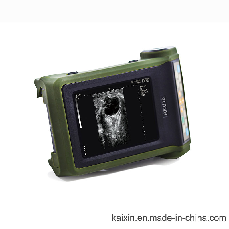 Rku10 Veterinary Ultrasonic Diagnostic Instrument for Bovine