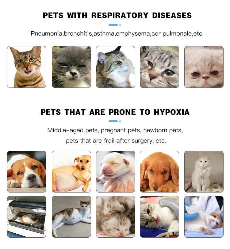 Veterinary Oxygen Solution