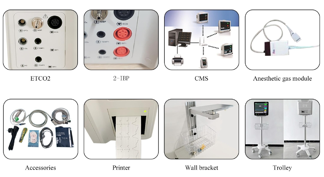 Veterinary Use Hospital Equipment Portable Multi-Parameter Patient Monitor (THR-PM603 VET)