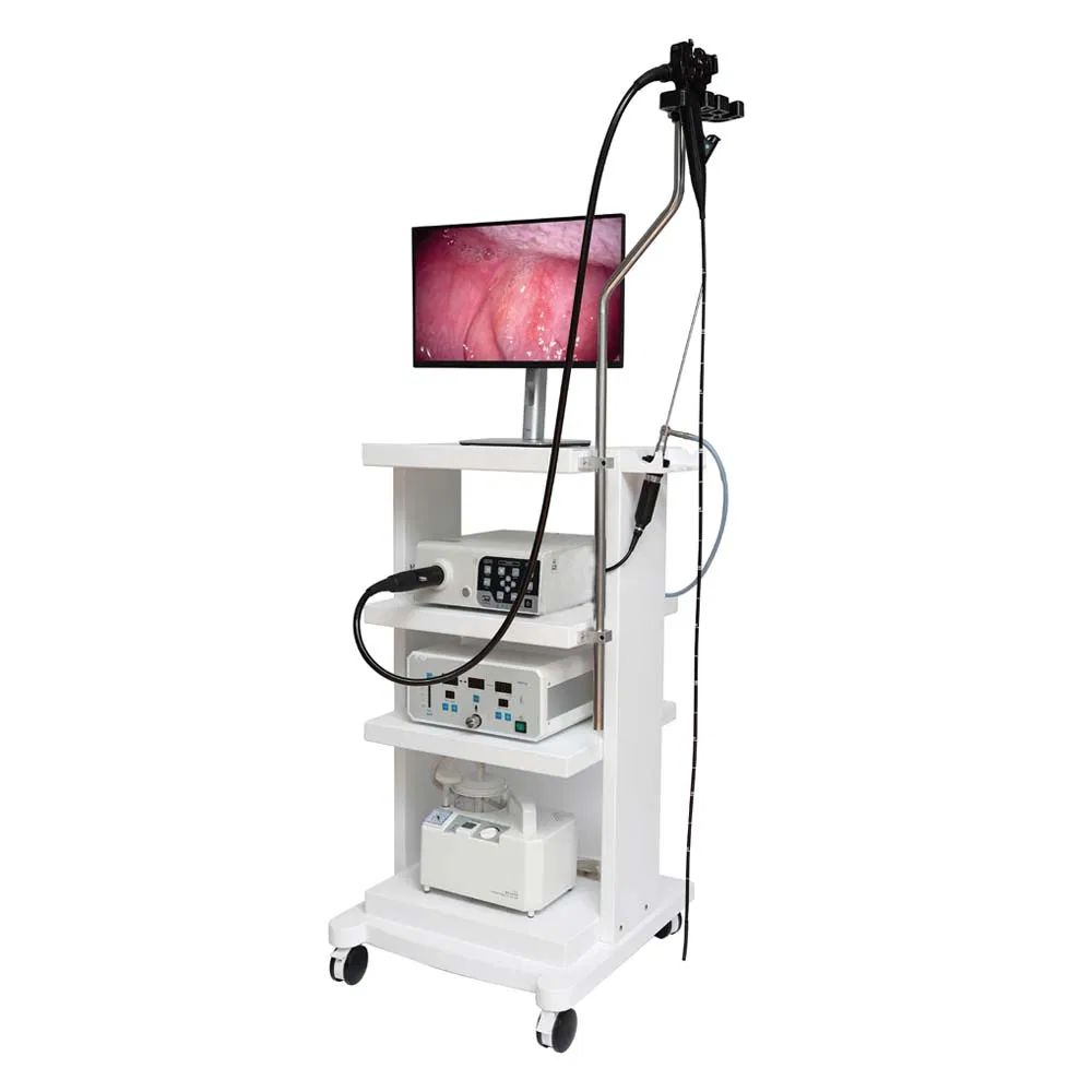 Gastroscope and Colonoscope Medical Gastrointestinal Endoscopy System Endoscope Gastroscope Veterinary Endoscope Dog
