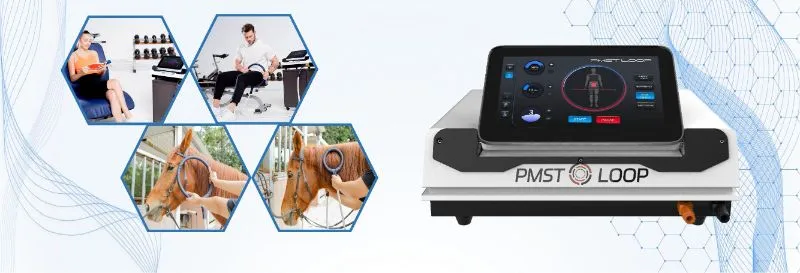 PEMF Loop Application