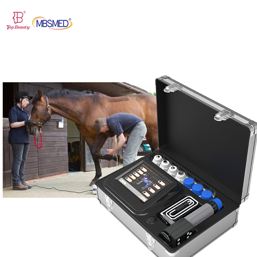 Equine Use Rehabilitation Equipment Shockwave Therapy Physiotherapy Veterinary Horse Shockwave Therapy Device