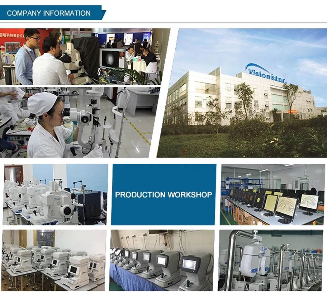 Veterinary Ultrasound Display