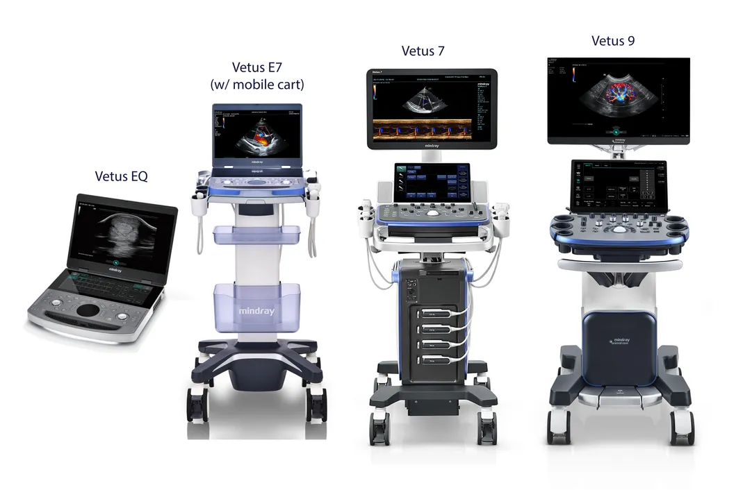 Ultrasound Device Display