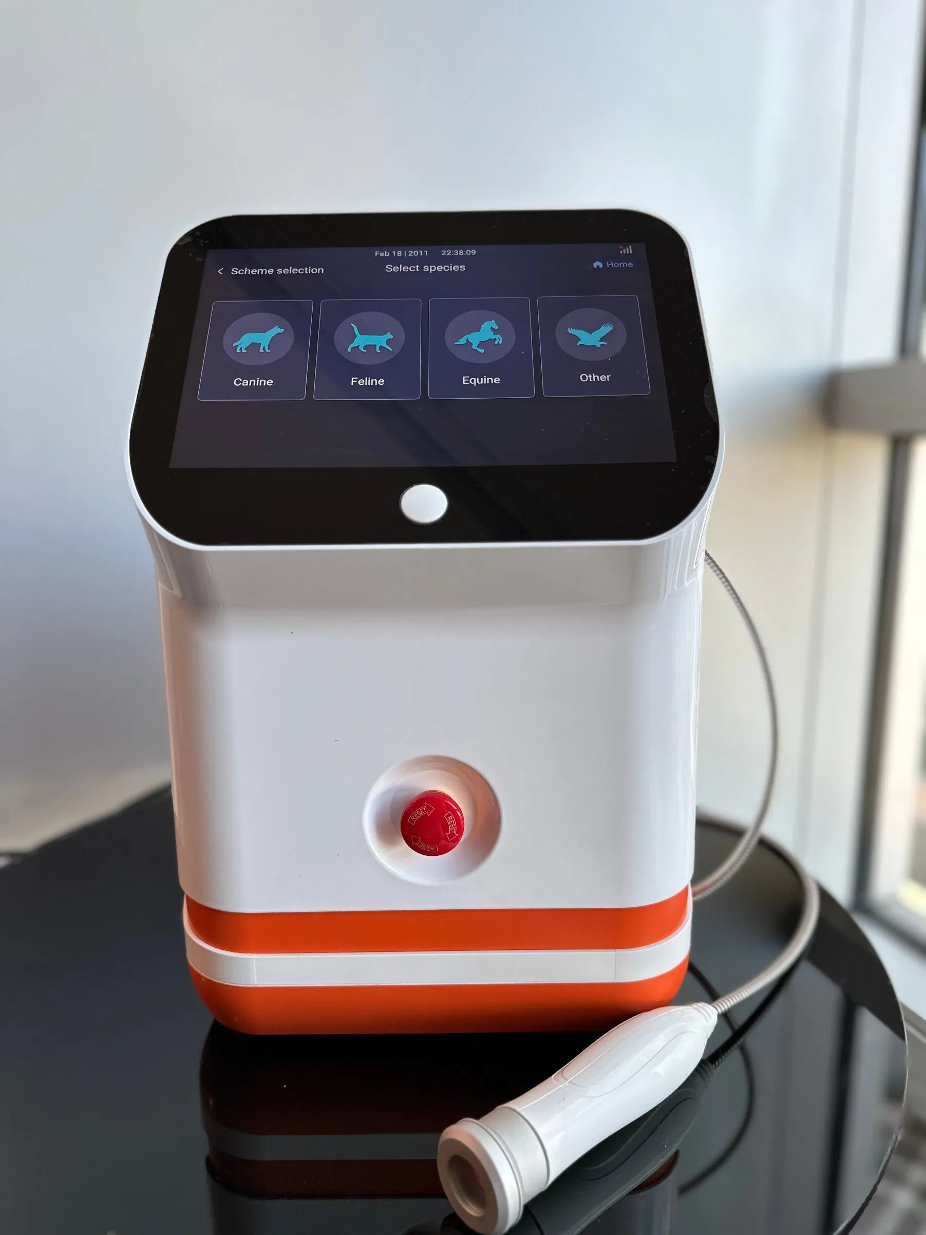 Veterinary Instrument Laser Animal Physiotherapy Pet Therapy Veterinary Therapy Equipment Price