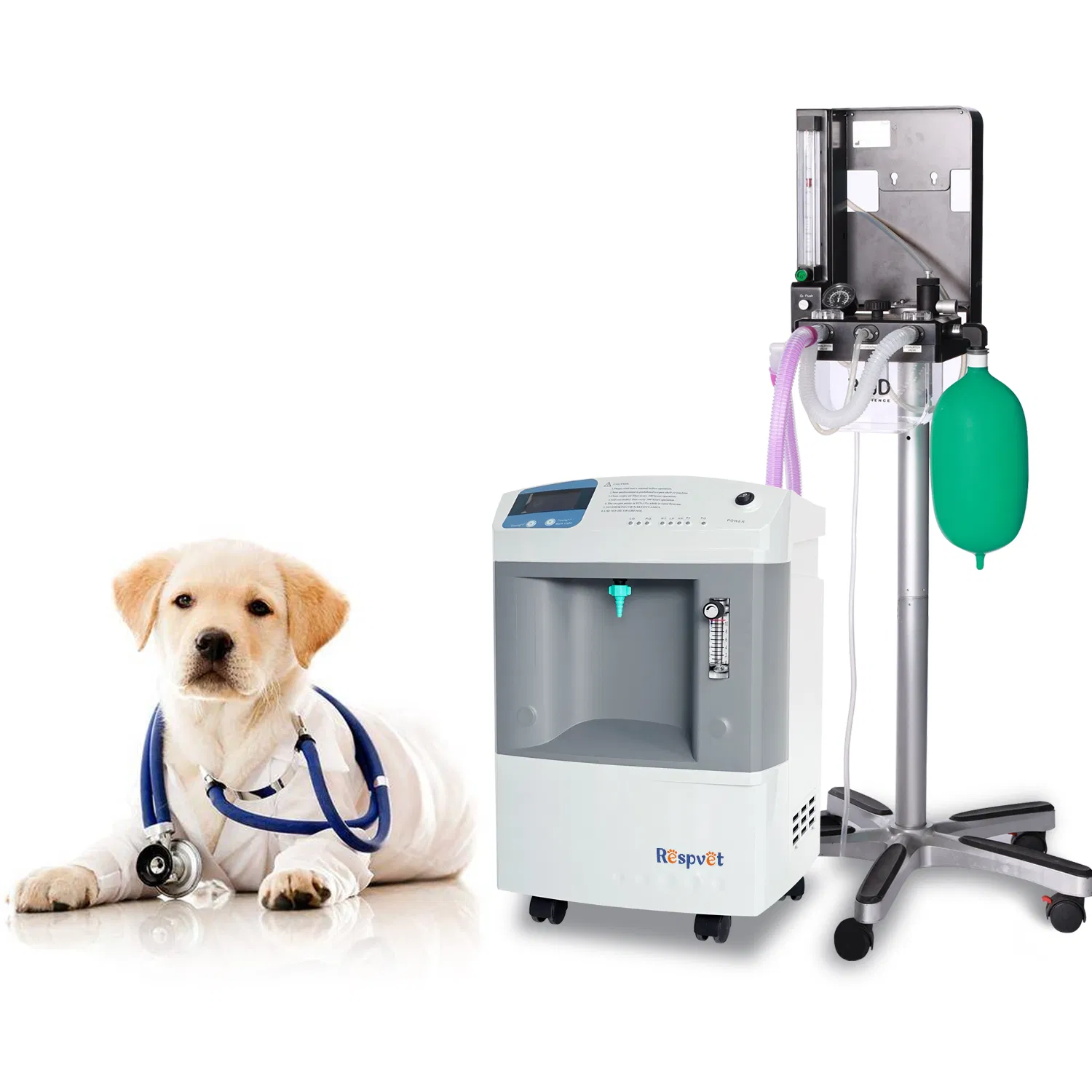 Longfian 93% High purity 10L animal medical veterinary oxygen concentrator connected to chamber
