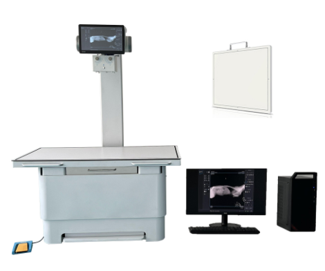 Advanced Veterinary X-ray Imaging System for Accurate Diagnoses