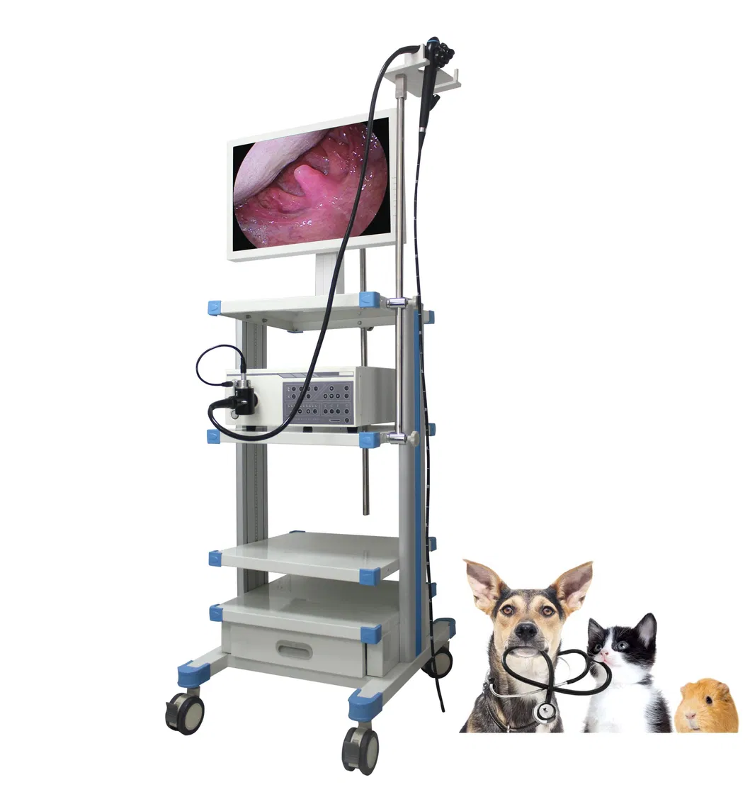 Complete Set Veterinary Endoscopy System