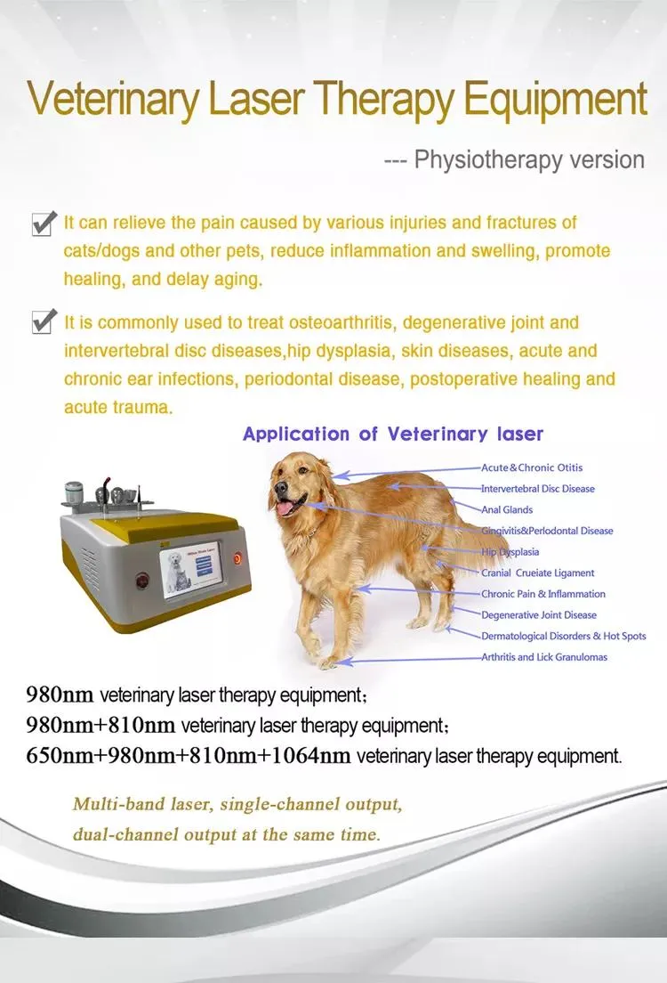 Veterinary Laser Therapy 3
