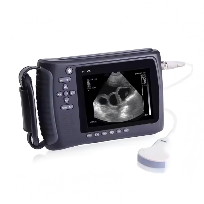 Handheld Ultrasound Machine Veterinary Equipment Portable Ultrasound Scanner for Animals