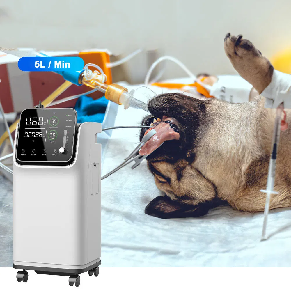 Portable 5L O2 Oxygen Concentrator Veterinary Use Animal Oxygen Generator