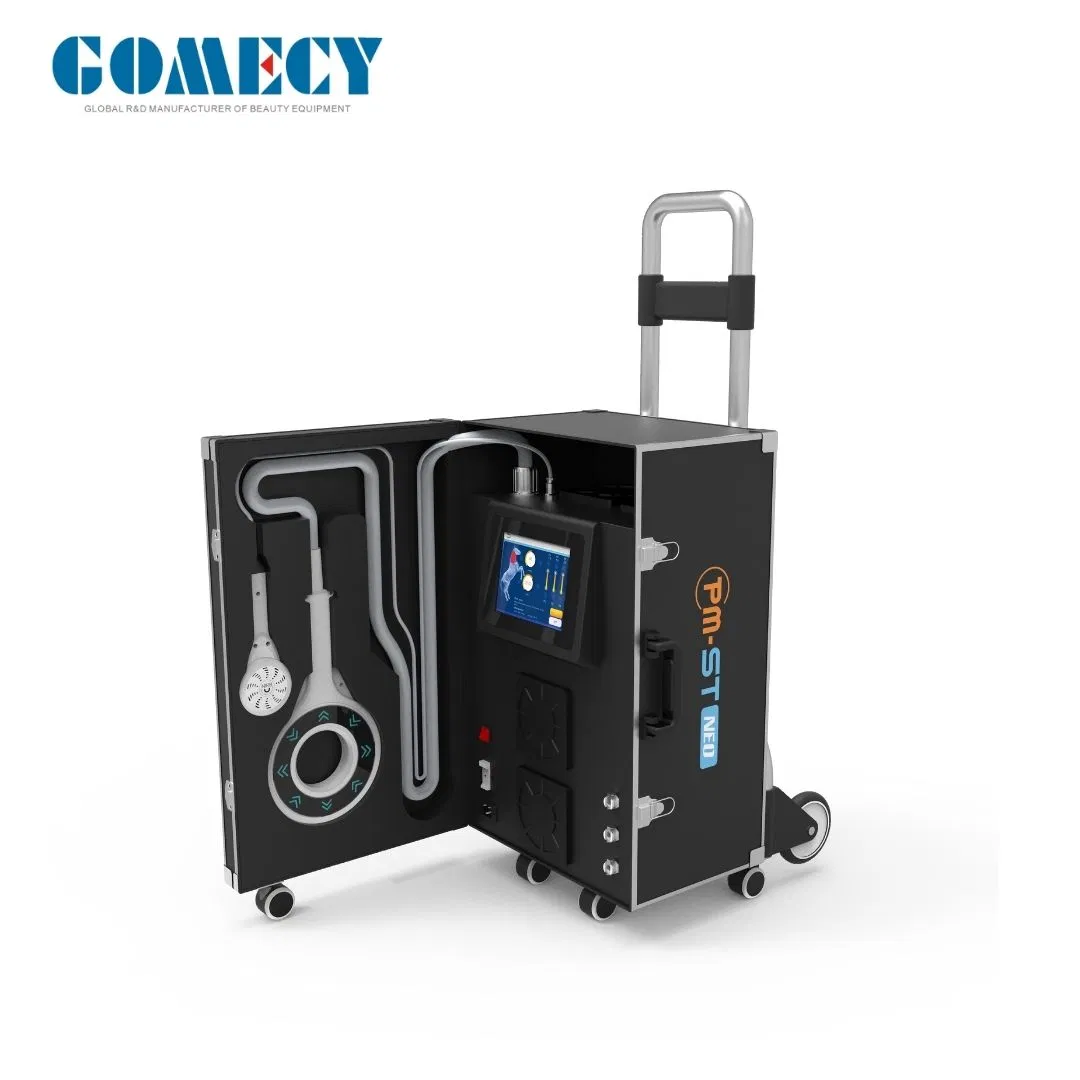 Pmst Magneto Physiotherapy Equipment Pmst Vet Physiotherapy Treatment Equipment