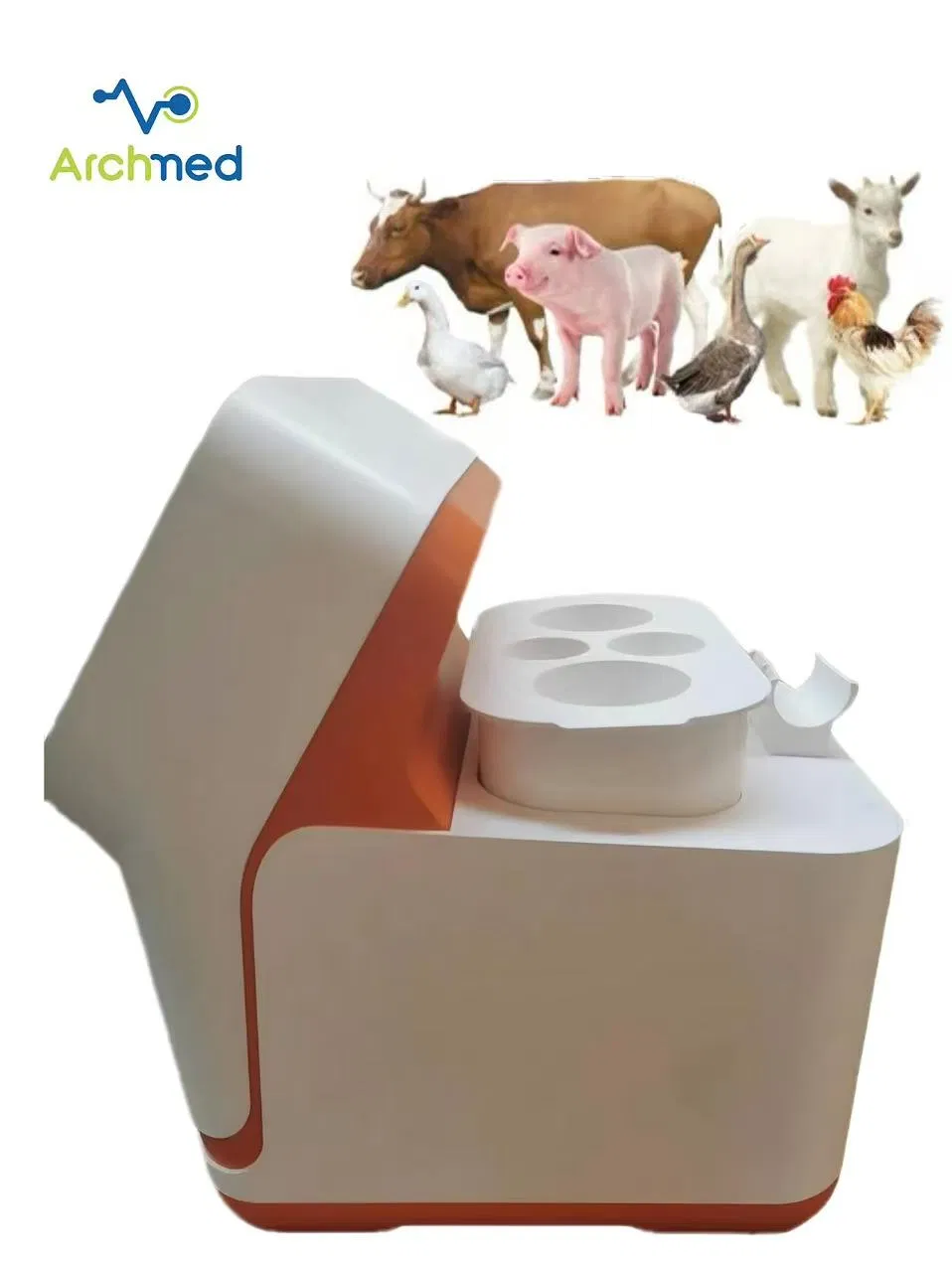Veterinary Instrument Laser Animal Physiotherapy Pet Therapy Veterinary Therapy Equipment Price
