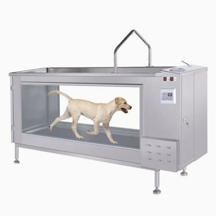 Pet Underwater Treadmill 2