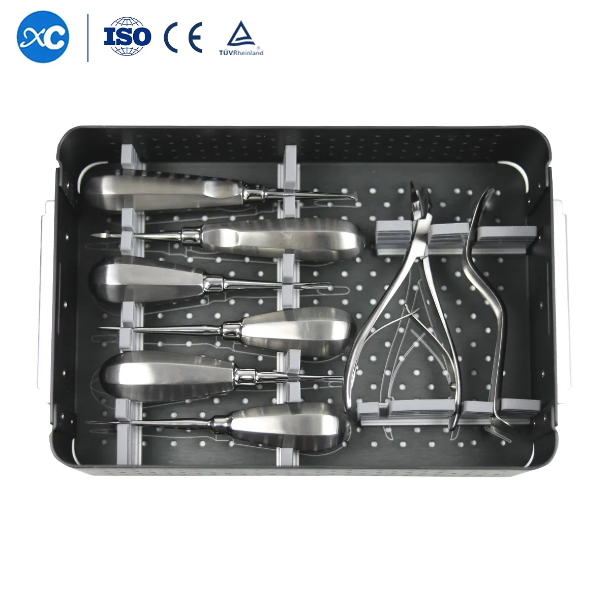 Veterinary Dentistry Instrument Vet General Surgical Instrument Dental Instrument Kit