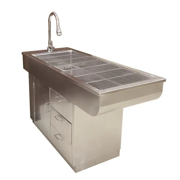 Veterinary Examination Table