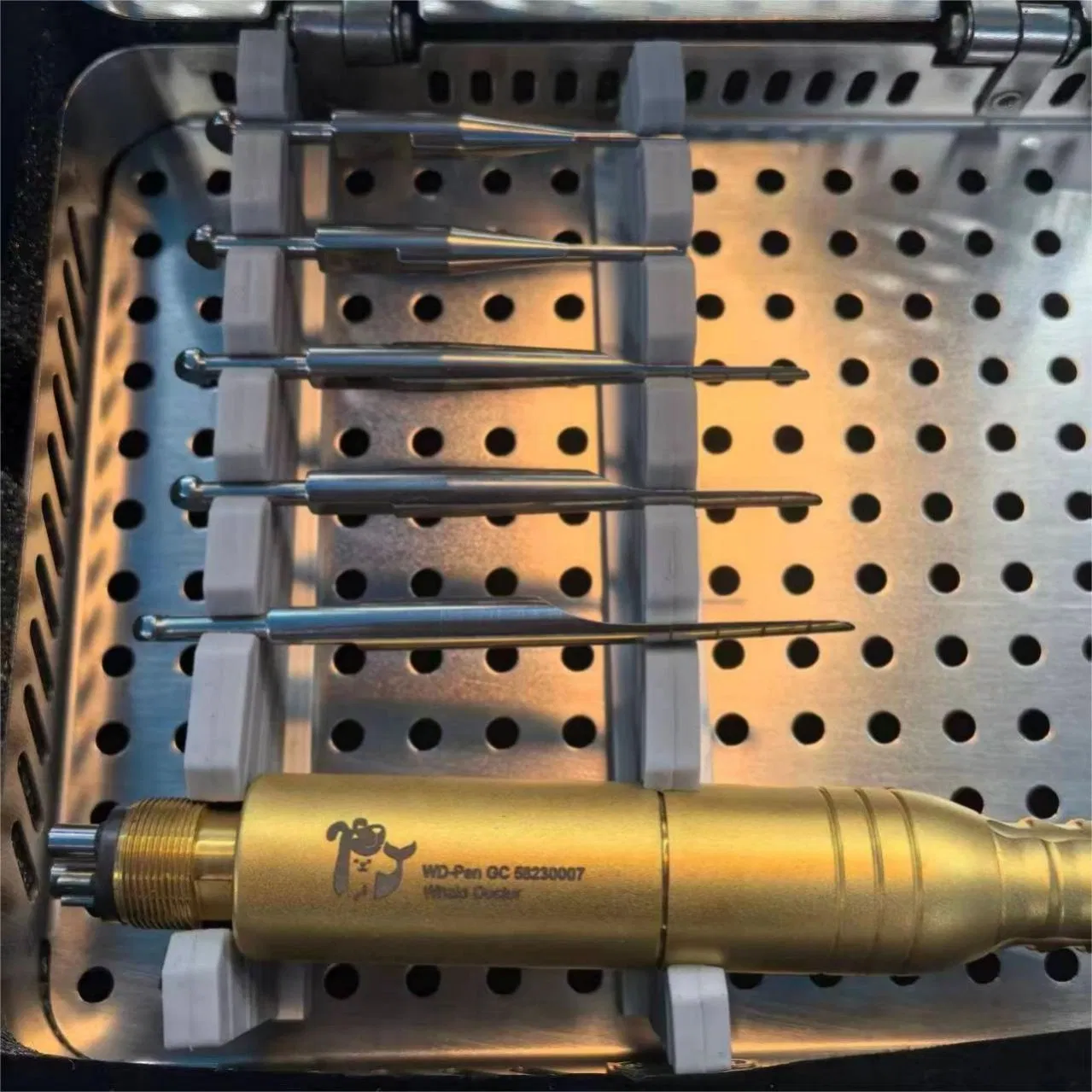 Advanced Pet Medical Equipment for User-Friendly Dental Care Tools Veterinary Instruments