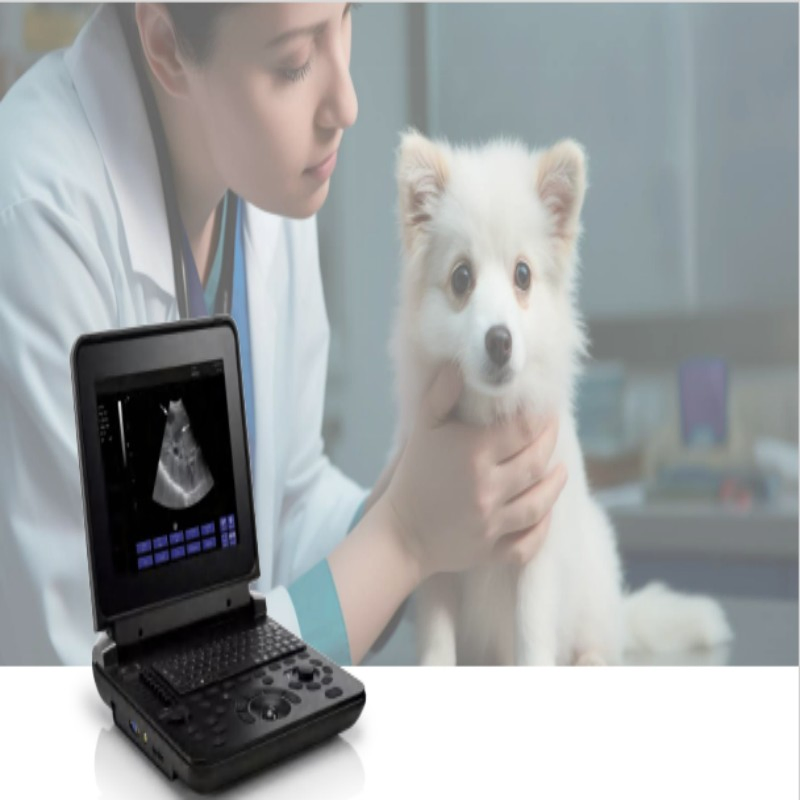 Pregnancy Ultrasound Scanner Veterinary Portable Color Ultrasonic Doppler Diagnostic System for Cattle Sheep Horse
