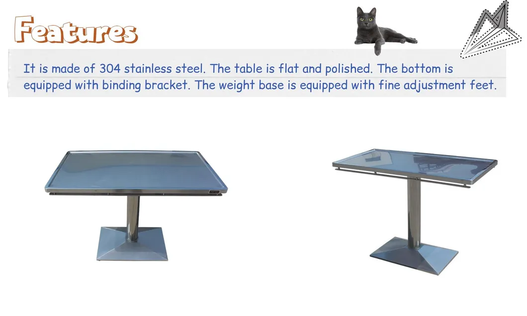 Veterinary Equipment Stainless Steel Pet Examination Table