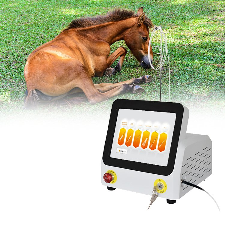 2023 980nm Laser Physiotherapy Veterinary Veterinari Horses Therapy Equipment