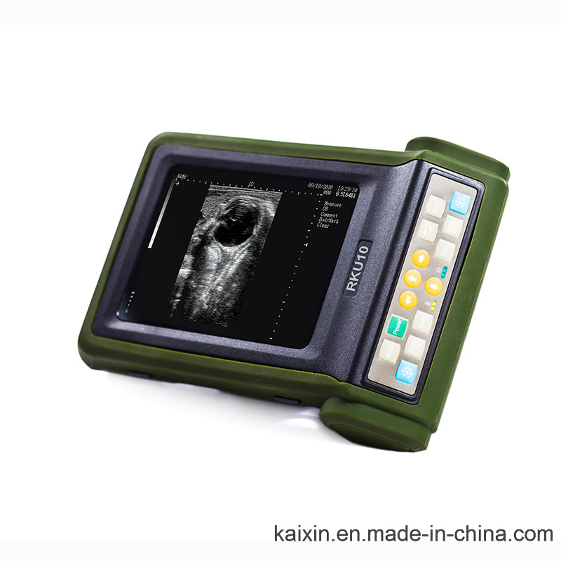 Rku10 Veterinary Ultrasonic Diagnostic Instrument for Bovine