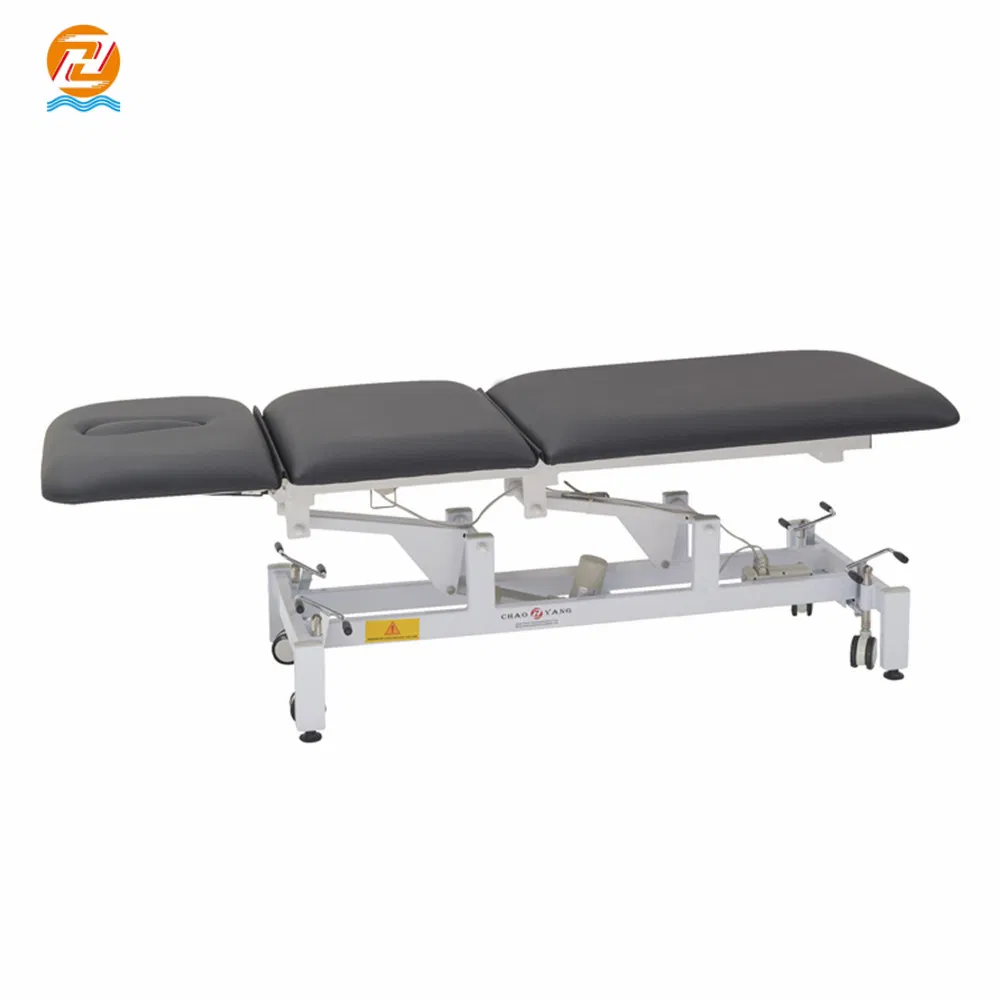 Three Section Multifunction Electric Portable Treatment Table Veterinary Examination Bed