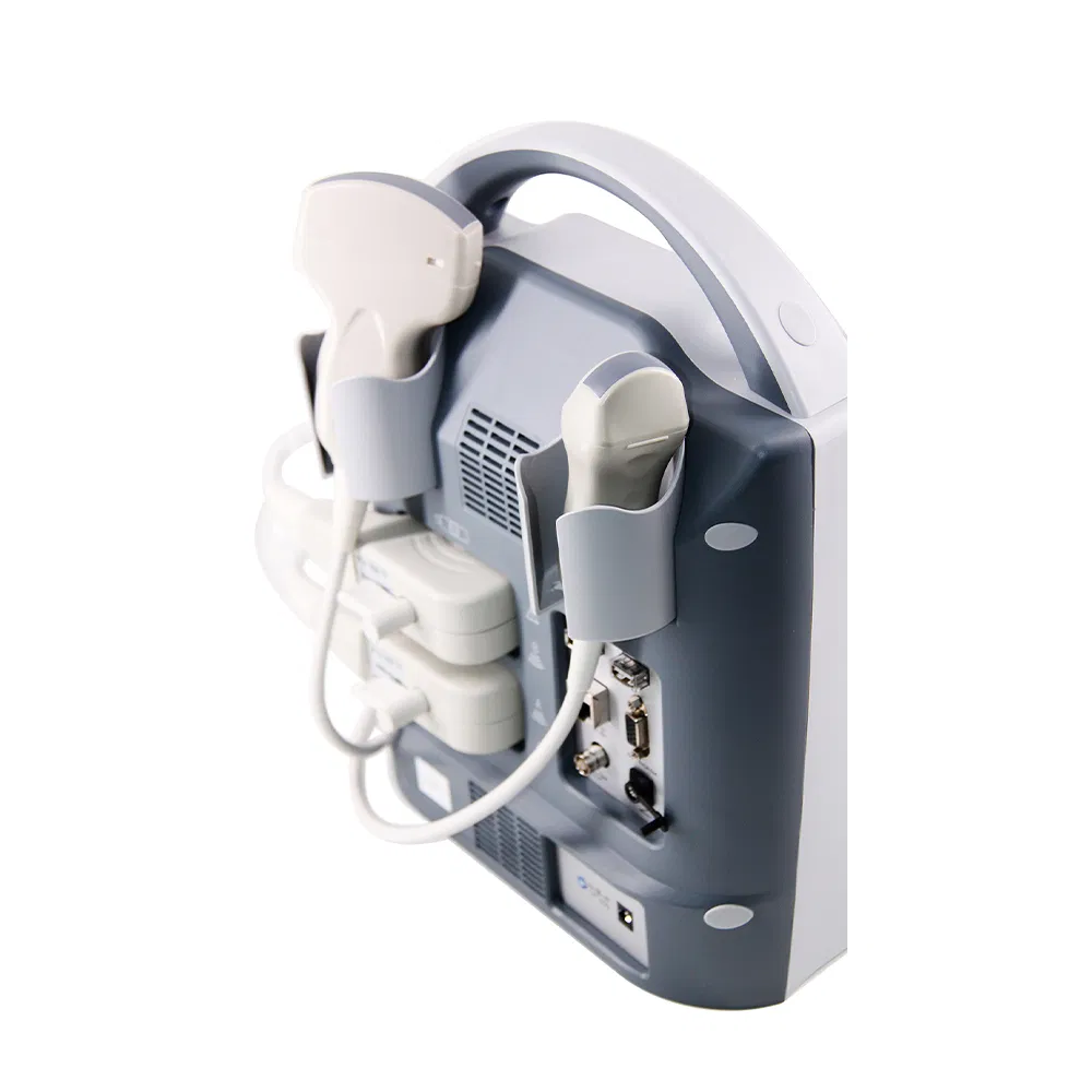 My-A013c Full Digital B Mode Ultrasonic Diagnostic Instruments for Veterinary