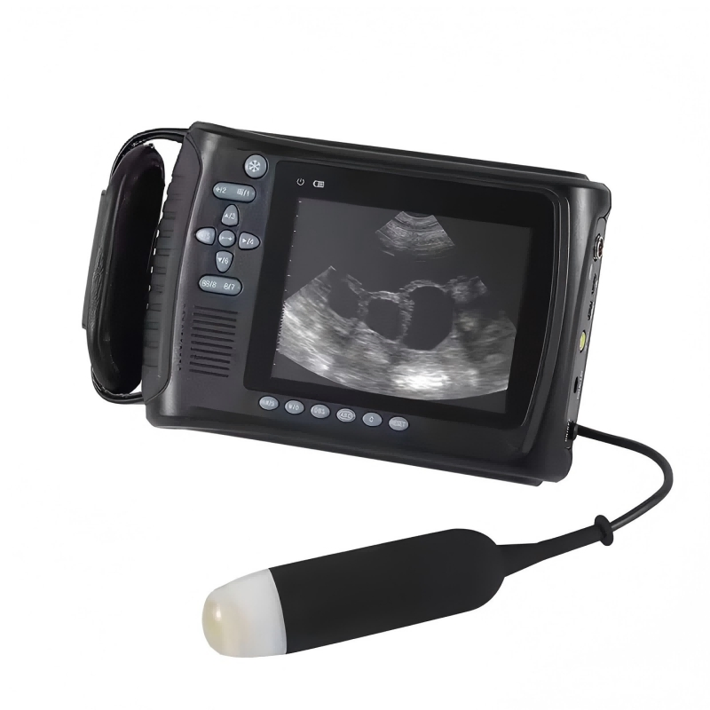 Handheld Ultrasound Machine Veterinary Equipment Portable Ultrasound Scanner for Animals