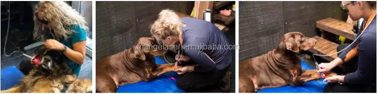 Veterinary Laser Application Banner