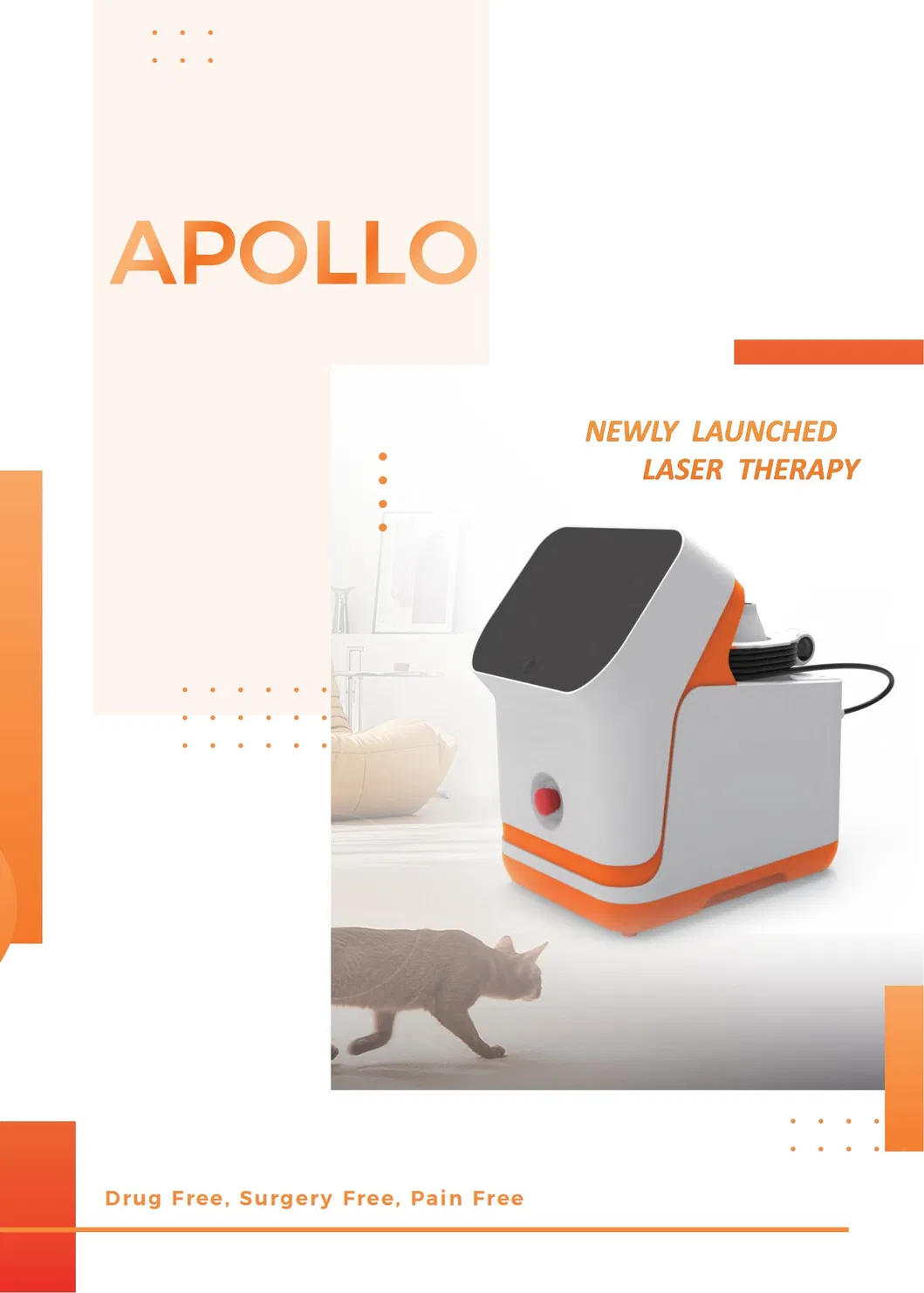 Veterinary Laser Therapy Device