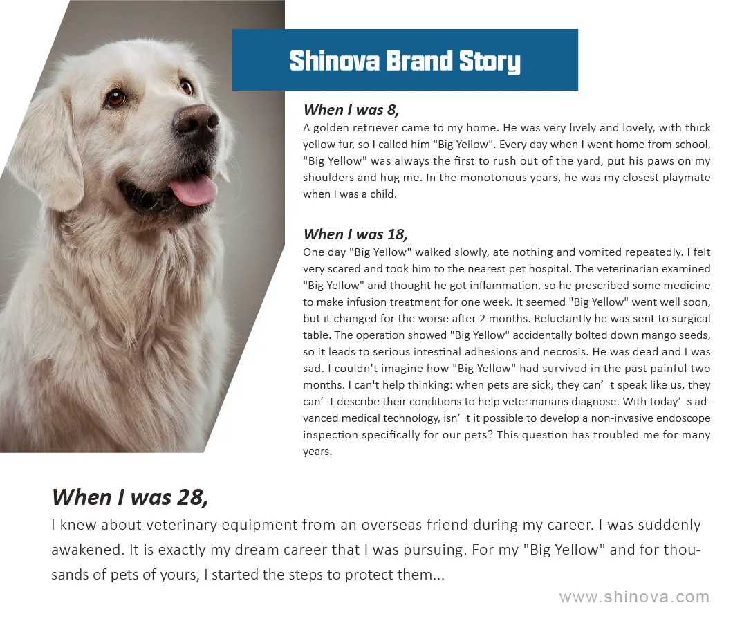 Veterinary Imaging Solution