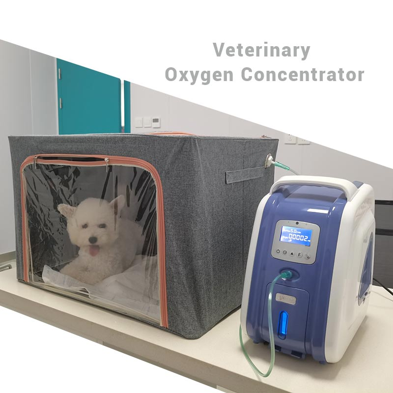 Am-3 Cheap Veterinary Oxygen for Animal Vet Oxygen Concentrator for Sale